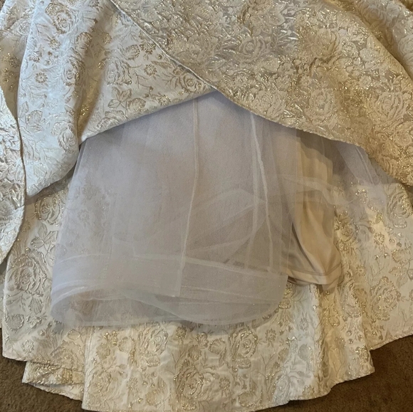 Aspeed Shimmery Champagne Floral Brocade Sleeveless Gown NWT Size Small - Picture 13 of 16